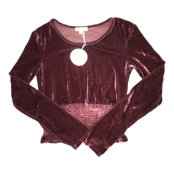 NWT Women's Wild Honey Wine Velvet, Long Sleeve Crop Top Size: L - Picture 2 of 9